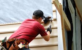 Best Historical Building Siding Restoration  in Millsboro, DE